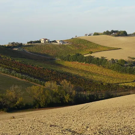 ラグジュアリーテント Agriturismo La Viola E Il Sole